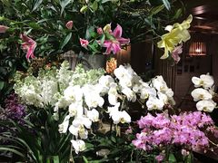 -春暖花开(西溪店)