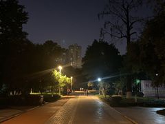 -龙头寺公园