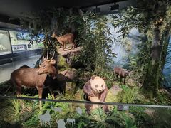 -四川大学博物馆