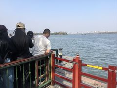 -西湖游船