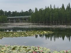 -白鹭湾湿地公园