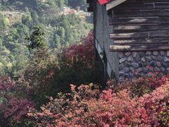 -岳西天峡风景区