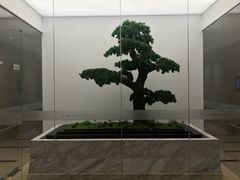 -柏乐口腔医院·舒适化无痛种植牙中心(东盟商务区院)