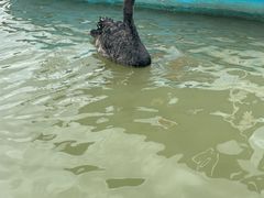 -昆山城市生态森林公园