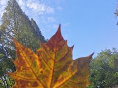 -赭山公园