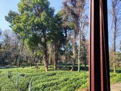 -野蔓果·山野菜(西湖景区·龙井茶田店)