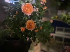 -厦门良筑精品酒店(厦门中山路店)