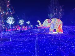 -济南国际园博园