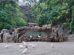 -燕塞湖鸟语林景区