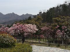-浮山香苑