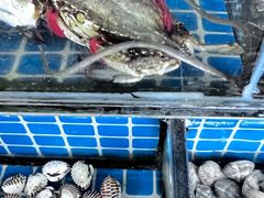 -大东海海鲜酒楼(渔人码头总店)