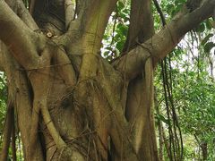 -白沙门生态公园