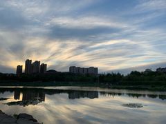 -前关湿地公园
