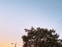 -新江湾城公园