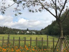 -前小桔亲子创意农场·草莓采摘·露营烧烤