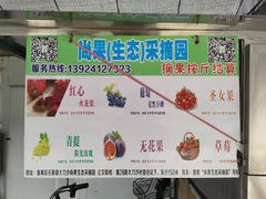 -尚果生态采摘园