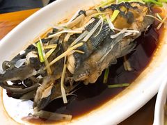 油泼黑头鱼-天伦海鲜·老味道·青岛菜(栈桥天主教堂店)