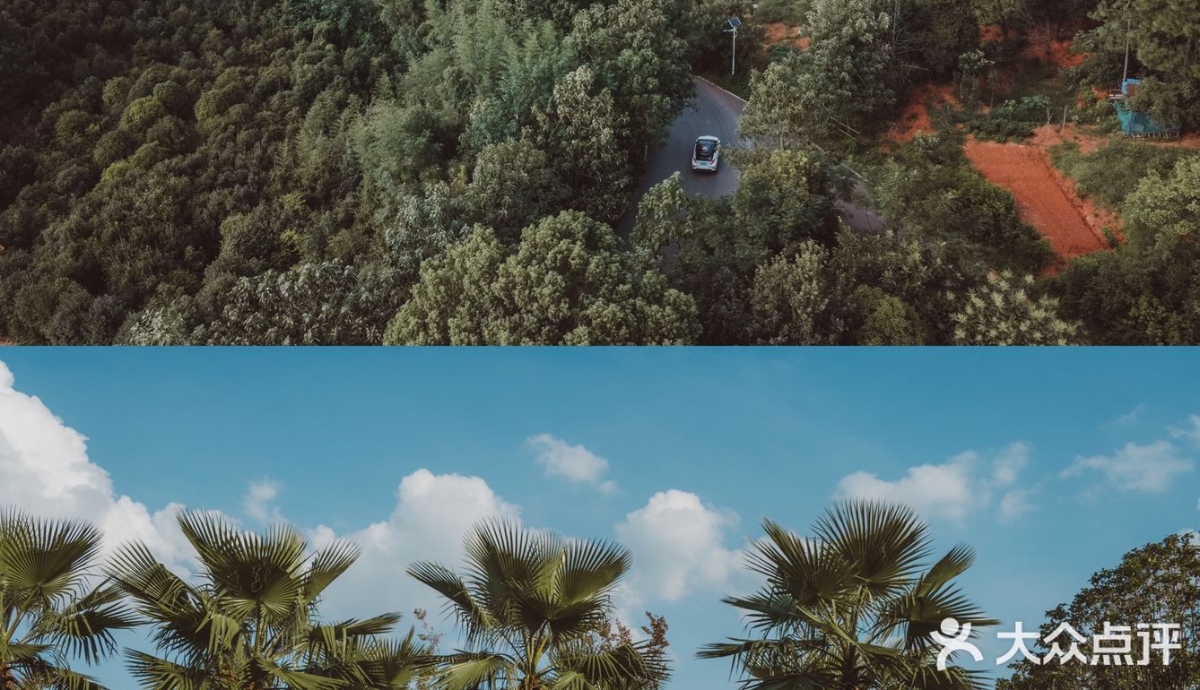 森林氧吧🍃湖南秘密基地｜和小绿罐的一夏