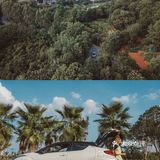 森林氧吧🍃湖南秘密基地｜和小绿罐的一夏