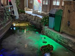 -花溪雨·森林餐厅(石基店)