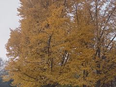 -迎泽公园