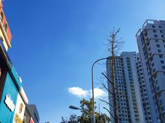 -利群商厦(台东店)