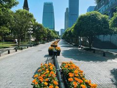 -重庆市江北嘴中央商务区中央公园