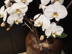 -湖滨客舍·湖北菜