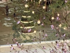 -深圳湾万象城(南山店)