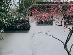 -秋霞圃