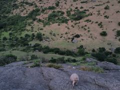 -大姆山草场