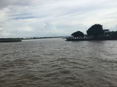 -大湾区中央湿地公园-十九涌