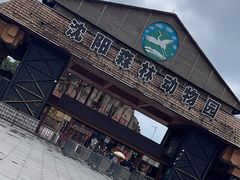 -沈阳森林动物园