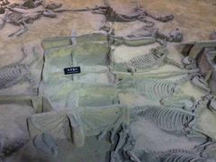 -洛阳周王城天子驾六博物馆