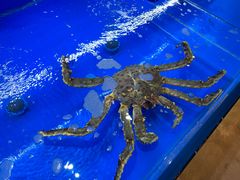-张家卫·阳江菜·小海鲜(肥婆湾桥店)