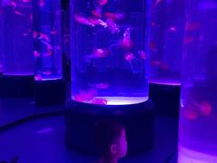 -海合安武汉极地海洋公园