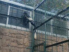 -泉州海丝野生动物世界