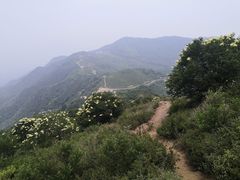 -阳台山自然风景区