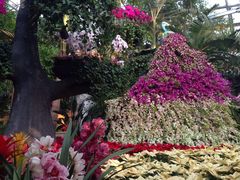 环境-北京植物园-展览温室