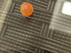 -汤里来温泉