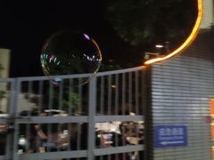 -金砂公园