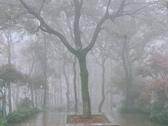 -岳麓山风景名胜区