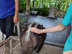 -清迈夜间动物园