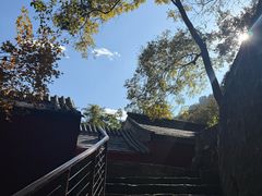 -北京上方山国家森林公园