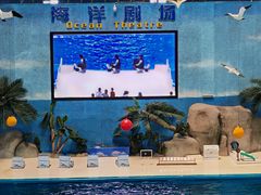 -泉城欧乐堡海洋极地世界
