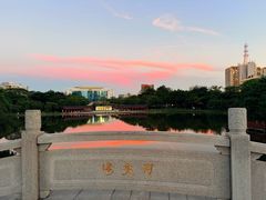 -映月湖公园