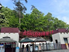-大金鹰园