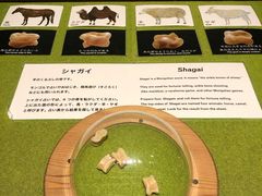 -东京国立博物馆