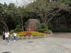 -野狸岛