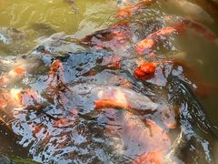 -兰溪地下长河